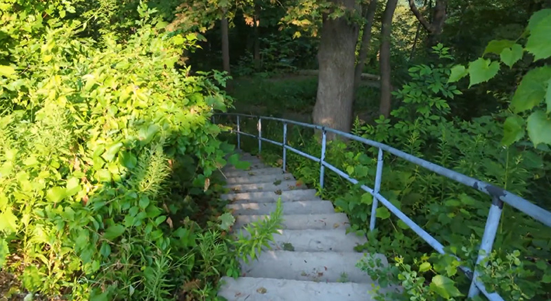 Trail near Horseshoe Falls