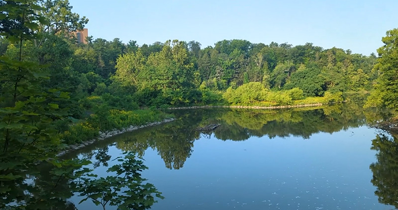 Stone bridge view